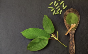 Can kratom products be used as an alternative to pharmaceutical medications?
